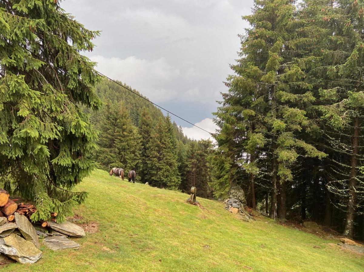 Do-Minus Boutique Home & Private Spa Ca Pedrot Mountain Cottage Monte Carasso Kültér fotó